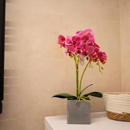 5 Casas Independientes En Costa Del Sol Holiday home